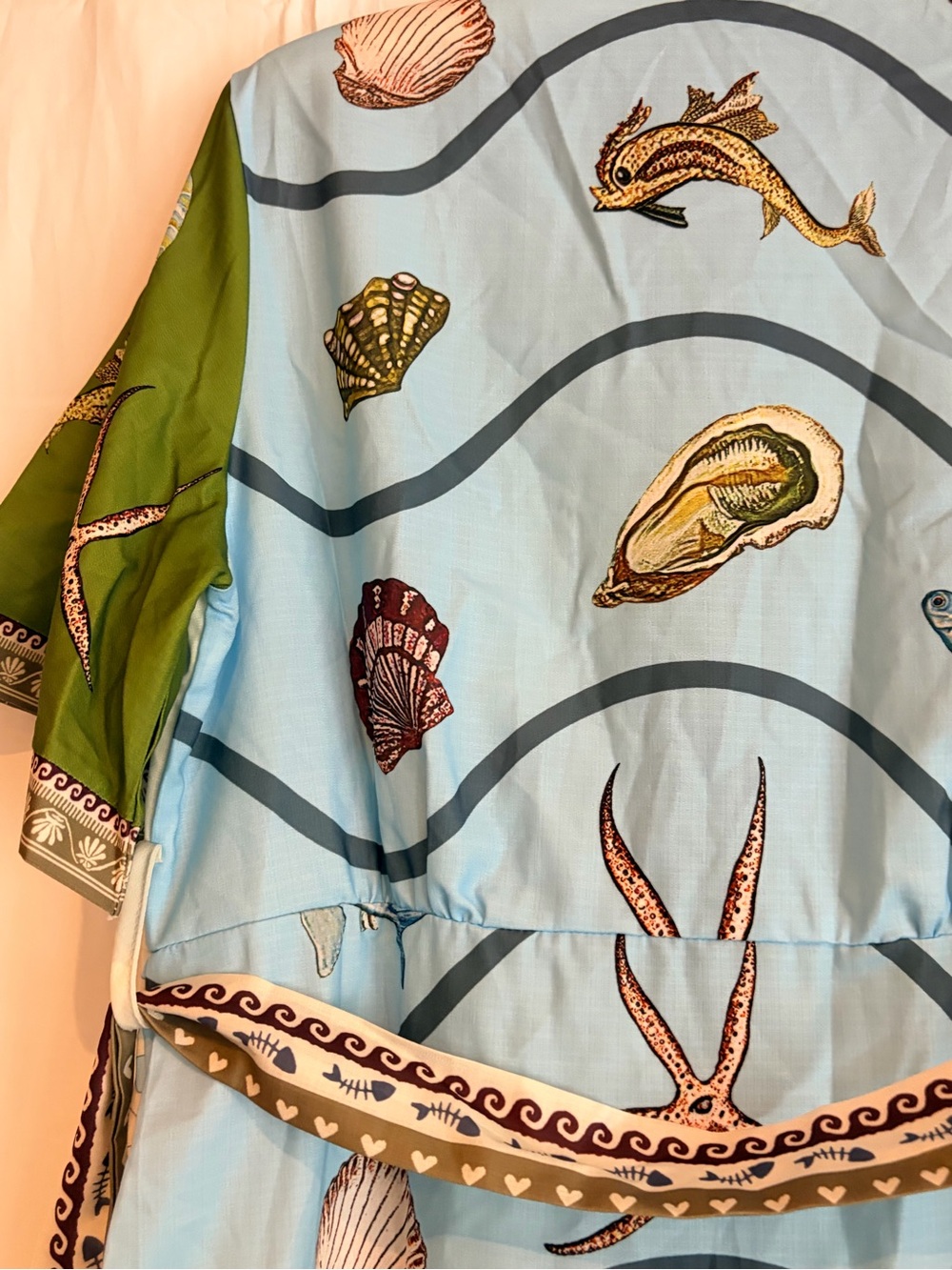 Sunday Up Ocean-motif Midi Shirt Dress in Blue & Green - Picture 5 of 5
